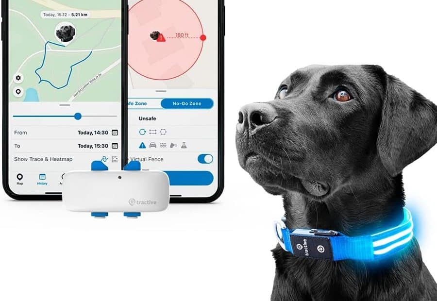 How Effective Are GPS Trackers for Dogs?