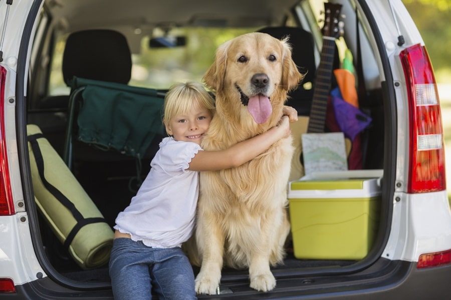 How to Plan A Dog-Friendly Vacation