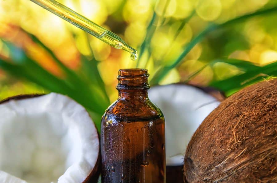 The Benefits of Coconut Oil for Dogs